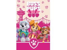 Detská deka Paw Patrol Boss Pups